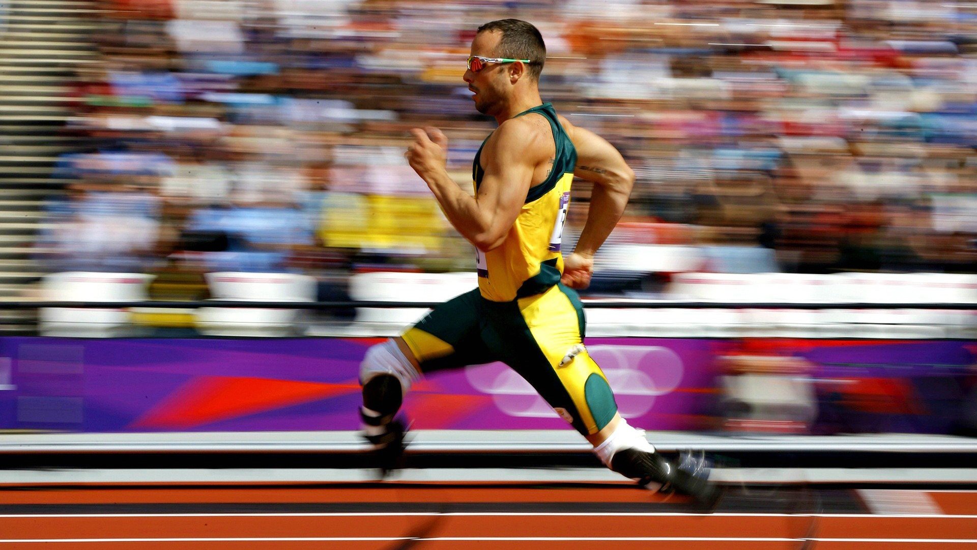 世界残疾人游泳锦标赛中国斩获五金,中国残疾人游泳运动女冠军视频