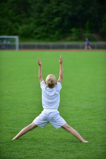 爱游戏大厅官网-高校体育专业课程体系动态调整研究，全国普通高校体育教育专业课程方案